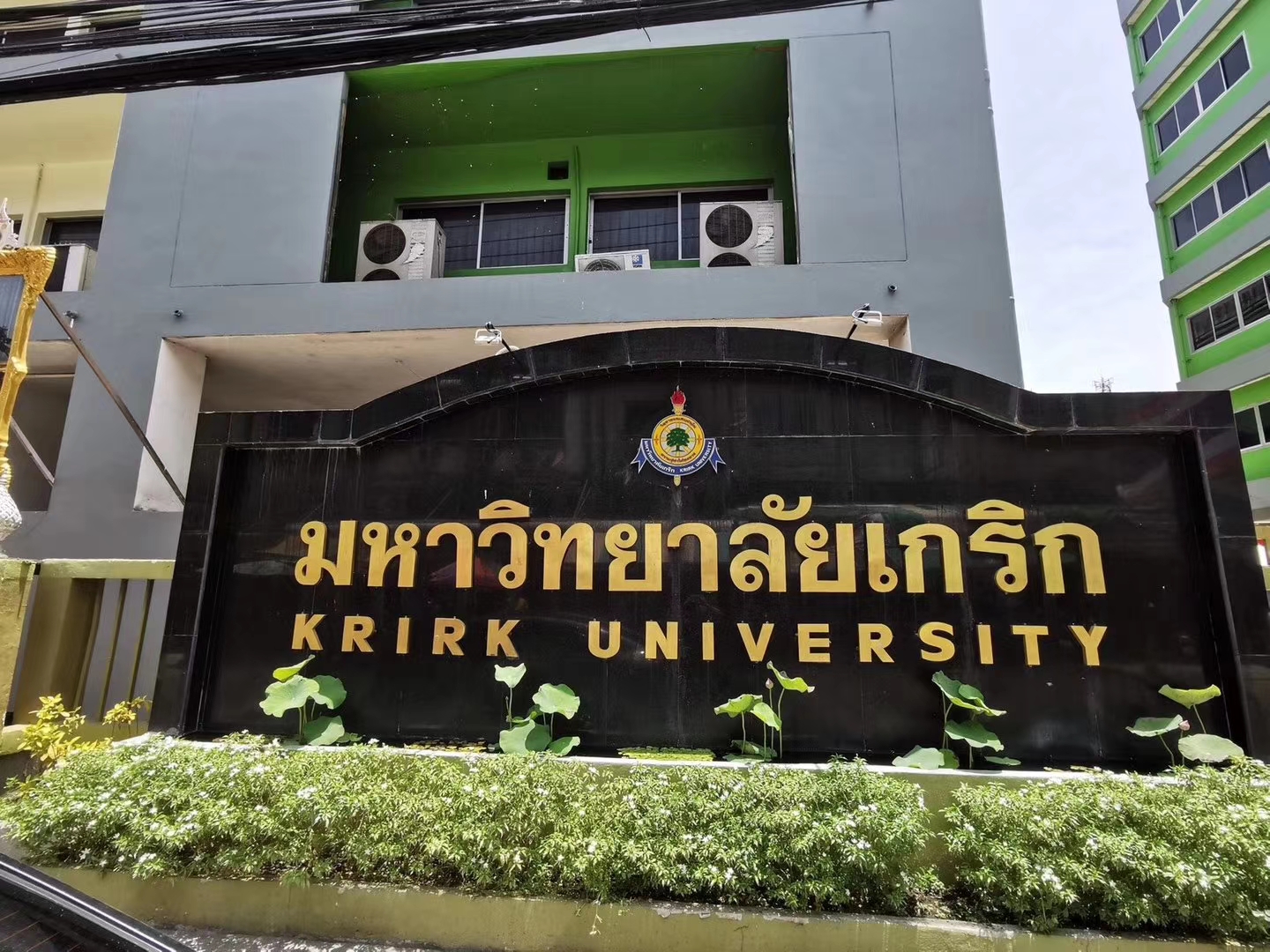 广西成人高考报名条件和要求，实操经验分享